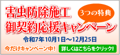 Qh{H_񉞉Ly[